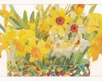 Daffodil-Invites-1024x732